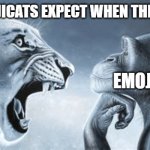 What emojicats think will happen when the bully the viewer | WHAT EMOJICATS EXPECT WHEN THEY BULLY US; US; EMOJICATS | image tagged in tiger yell at pondering monkey | made w/ Imgflip meme maker