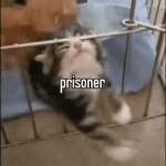 prisoner GIF Template