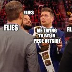 POV: When you try to eat | FLIES; FLIES; FLIES; ME TRYING TO EAT IN PIECE OUTSIDE; FLIES | image tagged in the miz nearly getting gang banged | made w/ Imgflip meme maker