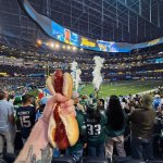 Holding up to my dog when Eagles loose meme