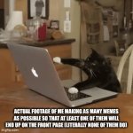 Actually me tho | ACTUAL FOOTAGE OF ME MAKING AS MANY MEMES AS POSSIBLE SO THAT AT LEAST ONE OF THEM WILL END UP ON THE FRONT PAGE (LITERALLY NONE OF THEM DO) | image tagged in gifs,cat,actuallyme,oh wow are you actually reading these tags | made w/ Imgflip video-to-gif maker
