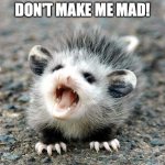 don't make me mad! | DON'T MAKE ME MAD! | image tagged in aaaaahhhhh baby opossum | made w/ Imgflip meme maker