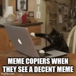 please end this crap | MEME COPIERS WHEN THEY SEE A DECENT MEME | image tagged in gifs,idcwibiucf hi | made w/ Imgflip video-to-gif maker
