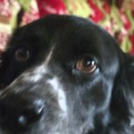 New address for Penny