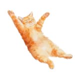 floaty orange cat for emoji resize