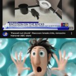 Raccoon | image tagged in gifs,raccoon,abc,store,memes,bathroom | made w/ Imgflip video-to-gif maker