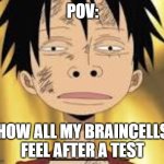 Duhhhh | POV:; HOW ALL MY BRAINCELLS FEEL AFTER A TEST | image tagged in your brain after a test | made w/ Imgflip meme maker