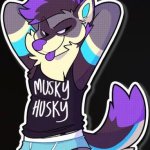 musky husky template