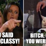 Woman Yelling at Cat | YOU SAID I WAS CLASSY! BITCH, I SAID YOU WERE NASTY | image tagged in angry lady cat | made w/ Imgflip meme maker
