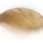 Trump Hair