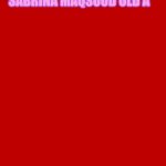 Red Background 570 X 778 | THE SIGN; HAPPY 22ND BIRTHDAY SABRINA MAQSOOD OLD A** | image tagged in red background 570 x 778 | made w/ Imgflip meme maker