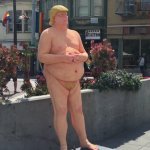 Naked Trump
