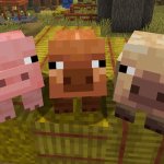 minecraft 3 ekor pig