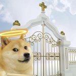 Doge heaven gate
