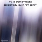 brotha fr tho | my lil brother when i accidentally touch him gently: | image tagged in gifs,this is,funny,memes,that are,no duh | made w/ Imgflip video-to-gif maker