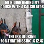 Dobermans cat hiding | ME HIDING BEHIND MY COUCH WITH A CALCULATOR; THE IRS LOOKING FOR THAT 'MISSING' $12.47 | image tagged in dobermans cat hiding | made w/ Imgflip meme maker