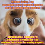 Confused Hamster | Without Coffee, I am essentially a very confused hamster stuck in a wheel going nowhere; But with coffee - Suddenly, I'm a hamster in a rocket ship - still confused, but at least I'm making progress. | image tagged in hamster,coffee | made w/ Imgflip meme maker