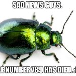 he will be missed | SAD NEWS GUYS. BEETLE NUMBER 789 HAS DIED. :((((((( | image tagged in beetle | made w/ Imgflip meme maker