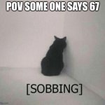 Sobbing cat | POV SOME ONE SAYS 67 | image tagged in sobbing cat | made w/ Imgflip meme maker