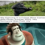 Dancer Gorilla | image tagged in gifs,blank white template,memes,gorilla,dancing,i see this as an absolute win | made w/ Imgflip video-to-gif maker