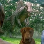 It’s behind me isn’t it dog