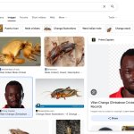 villan changa cricket