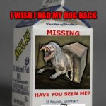 oi | I WISH I HAD MY DOG BACK; ME | image tagged in milk carton | made w/ Imgflip meme maker