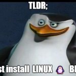 install linux bro | TLDR;; Just install  LINUX 🐧  BRO | image tagged in classic skipper captain of madagascar penguins,linux,linuxmeme,arch | made w/ Imgflip meme maker