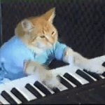 Piano cat template