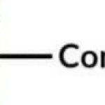 congratulations meme