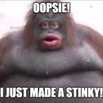 Uh oh stinky | OOPSIE! I JUST MADE A STINKY! | image tagged in uh oh stinky | made w/ Imgflip meme maker