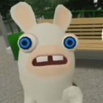 Rabbid weird face