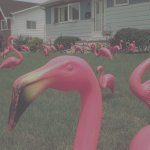 Plastic flamingo label