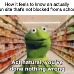 act natural, you've done nothing wrong | How it feels to know an actually fun site that's not blocked froms school | image tagged in act natural you've done nothing wrong | made w/ Imgflip meme maker