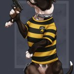 Staffordshire bull terrier