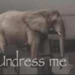 undress me meme