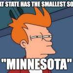 think bout it bro | WHAT STATE HAS THE SMALLEST SODAS; "MINNESOTA" | image tagged in memes,futurama fry | made w/ Imgflip meme maker