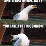 Minecraft meme lol | YOU MET A GIRL; SHE LIKES MINECRAFT; YOU HAVE A LOT IN COMMON; SHE ASKS YOU TO COME TO HER HOUSE TO PLAY | image tagged in memes,inhaling seagull | made w/ Imgflip meme maker