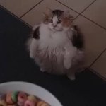 Give Me the Lööps