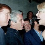 Epstein-Trump connection