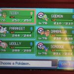 Heartgold team