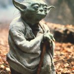 Yoda