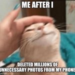 Cat being pet | ME AFTER I; DELETED MILLIONS OF UNNECESSARY PHOTOS FROM MY PHONE. | image tagged in cat being pet | made w/ Imgflip meme maker