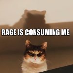 Rage | RAGE IS CONSUMING ME | image tagged in staring cat | made w/ Imgflip meme maker