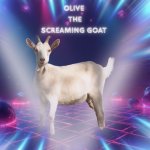 Olive the screaming Goat