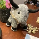 I don’t know what I’m doing with my life