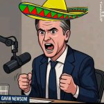 Gavin Newsom animated