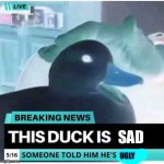 Happy duck | SAD; UGLY | image tagged in happy duck | made w/ Imgflip meme maker