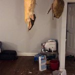 Home renovation fail