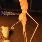 I don’t like this rock